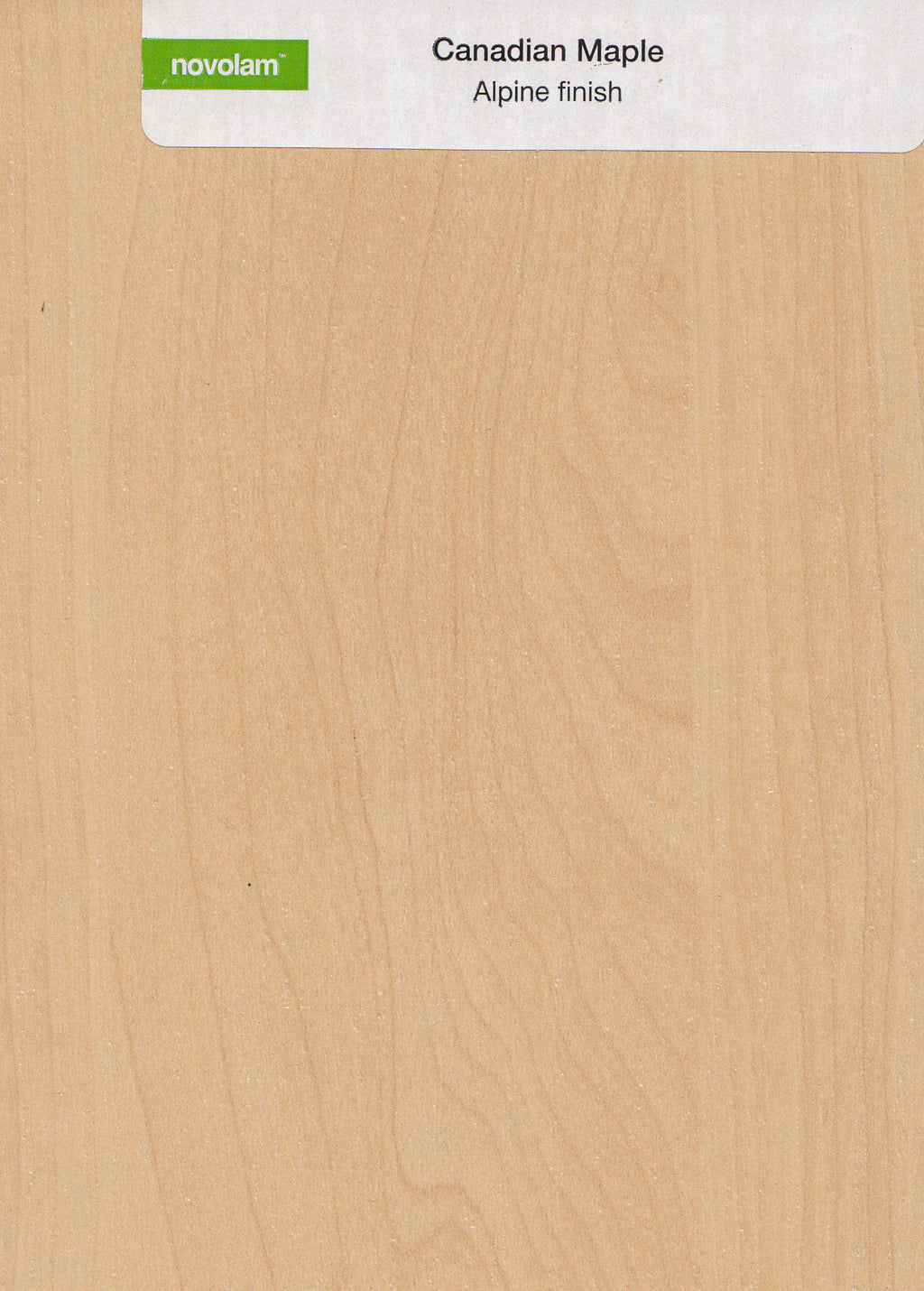 Maple