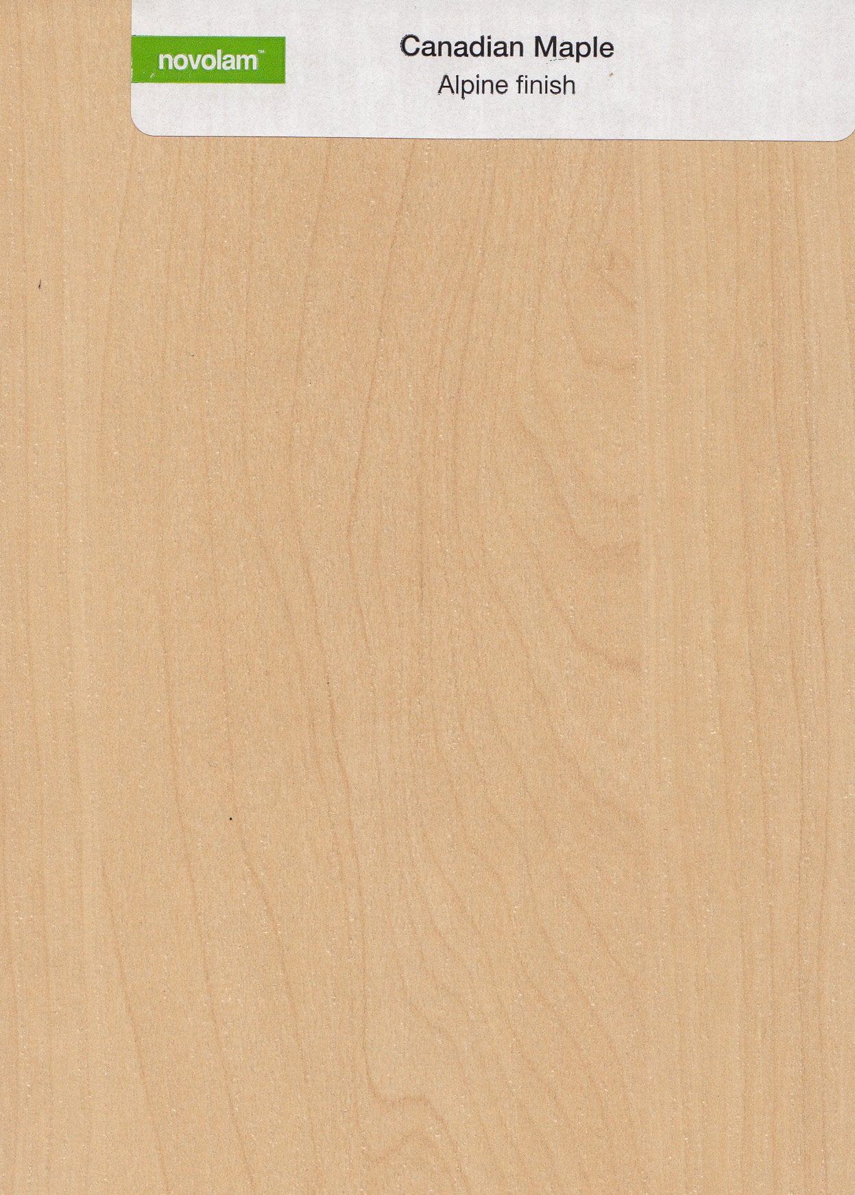 Maple