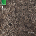 Cygnus Gloss Top 600