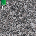 Marron Gloss Top 600