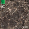 Cygnus Gloss Top