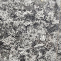 Rosetta Gloss Top 600